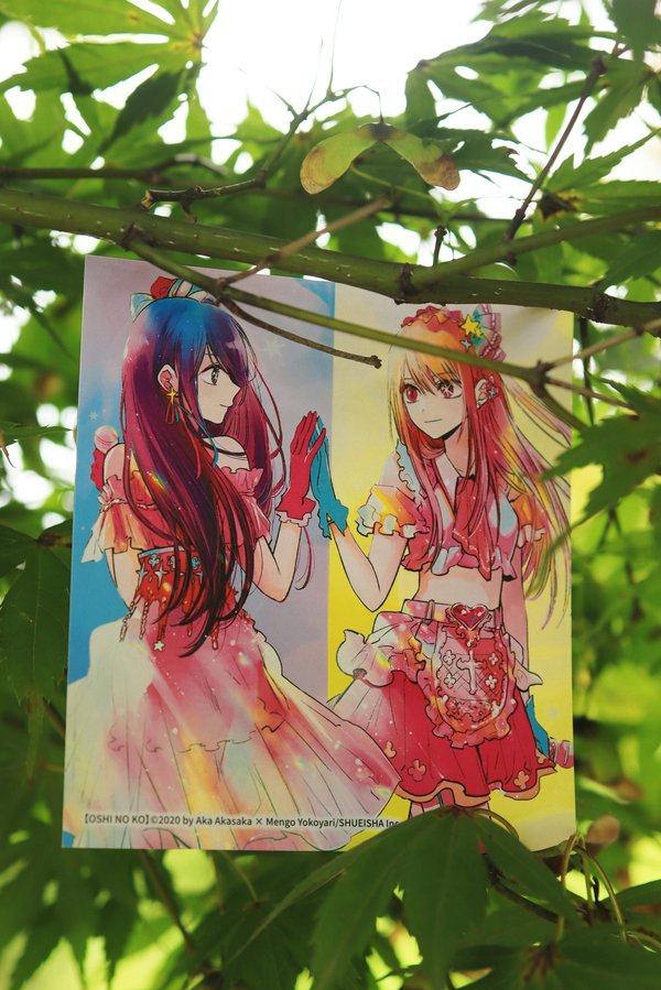 À la découverte des passionnantes cultures jv et mangas